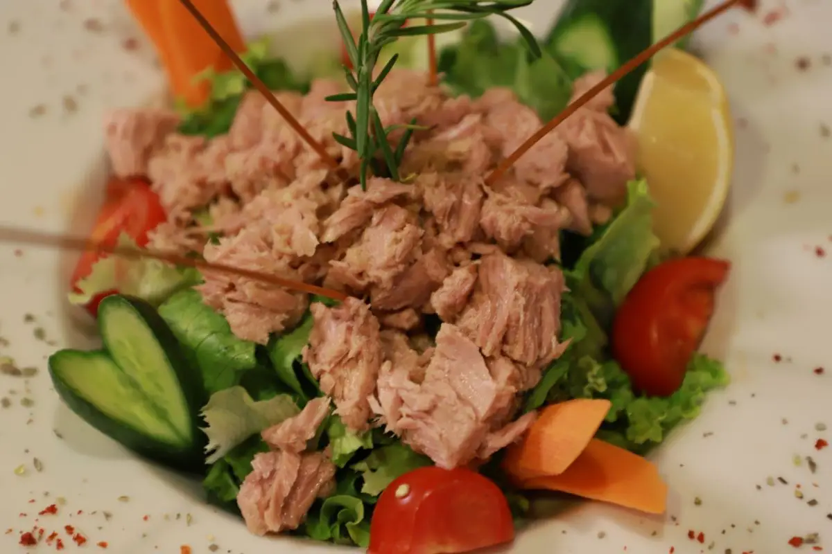Come rendere la tua insalata proteica e saziante: la soluzione dell’estate Come rendere la tua insalata proteica e saziante: la soluzione dell’estate