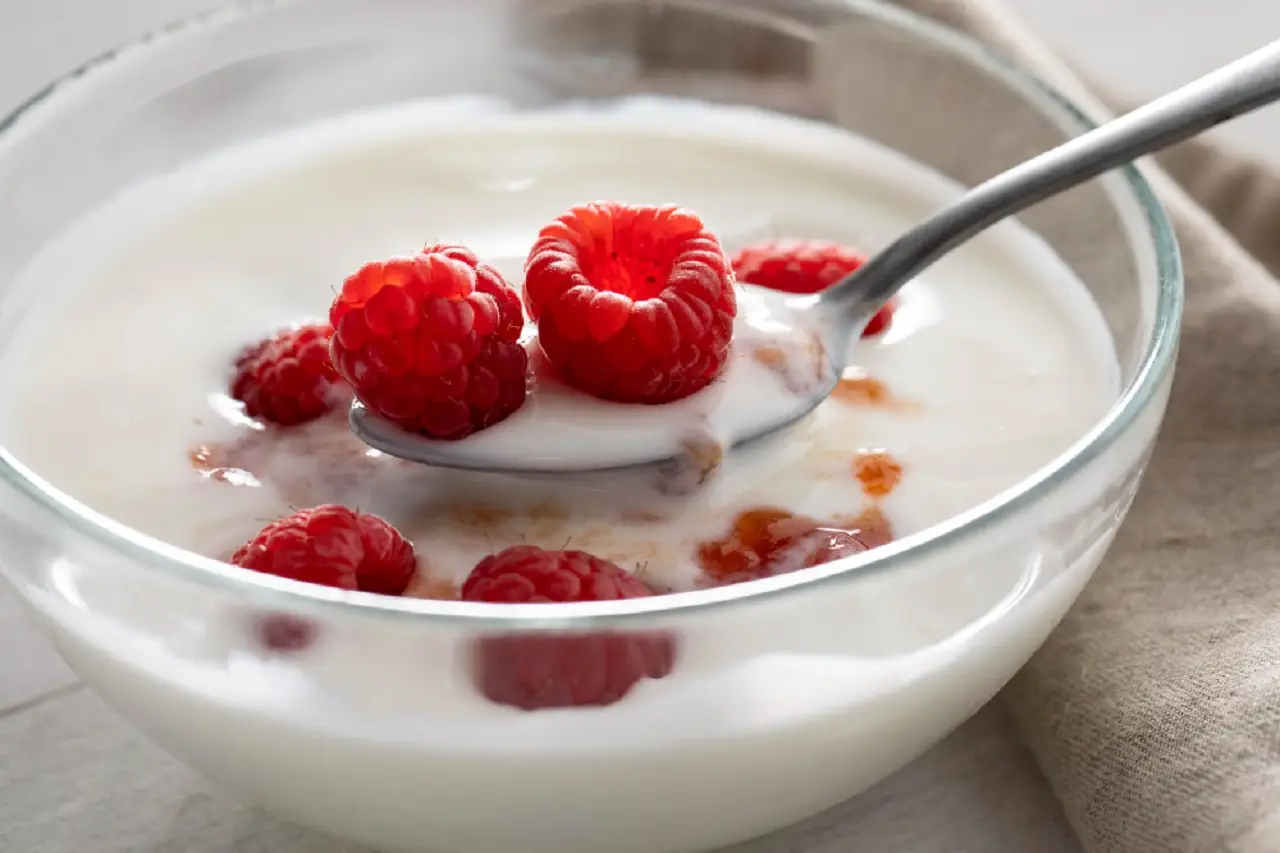 La salsa yogurt light che rivoluziona le grigliate di giugno: il segreto dei food scientist La salsa yogurt light che rivoluziona le grigliate di giugno: il segreto dei food scientist