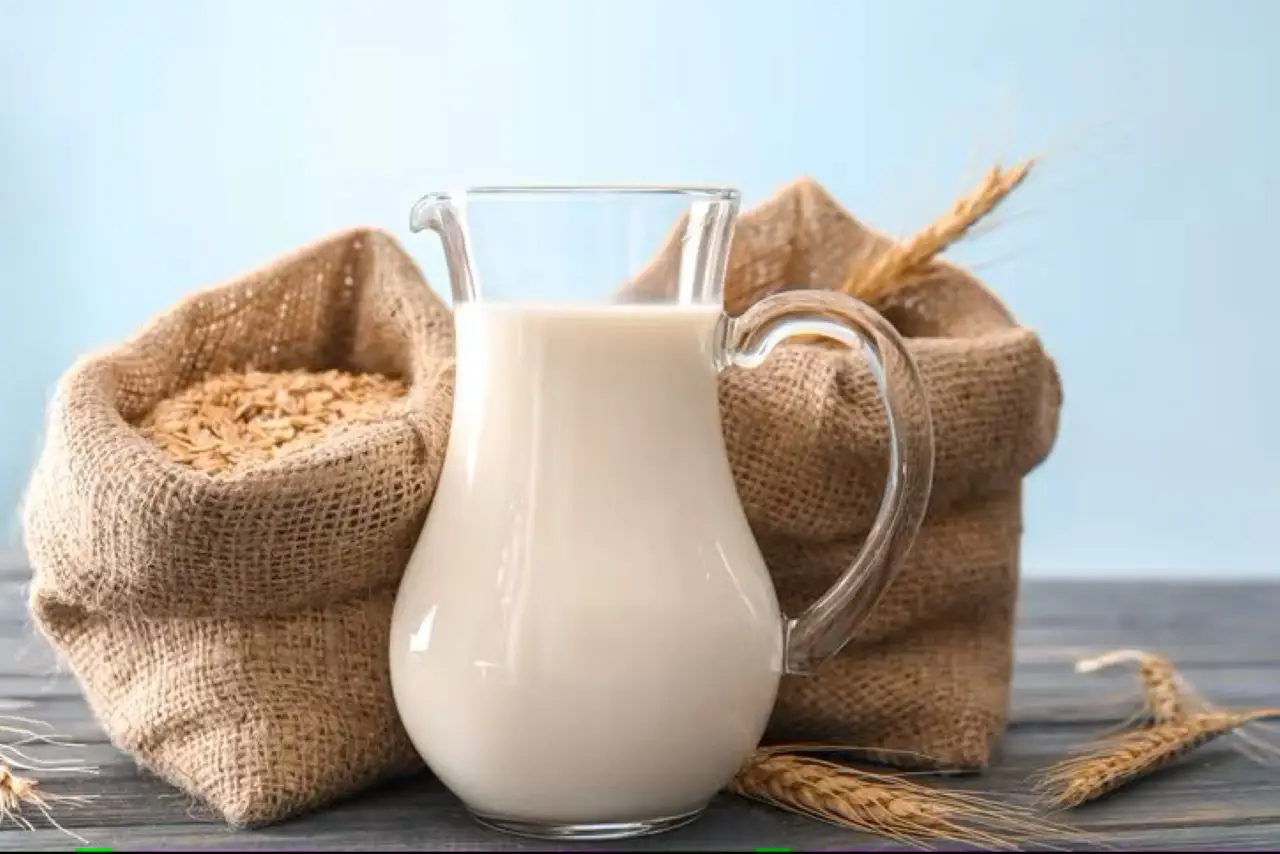 La bevanda vegetale alternativa al latte: benefici e usi secondo la ricerca 2025 La bevanda vegetale alternativa al latte: benefici e usi secondo la ricerca 2025